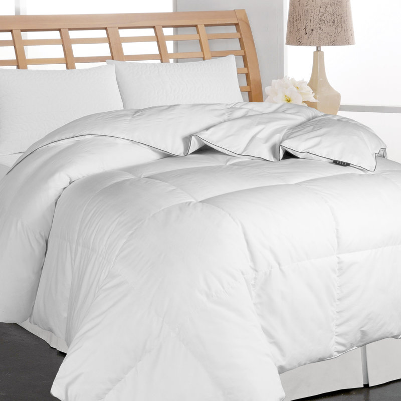 Elle Decor All Season Down Comforter & Reviews Wayfair